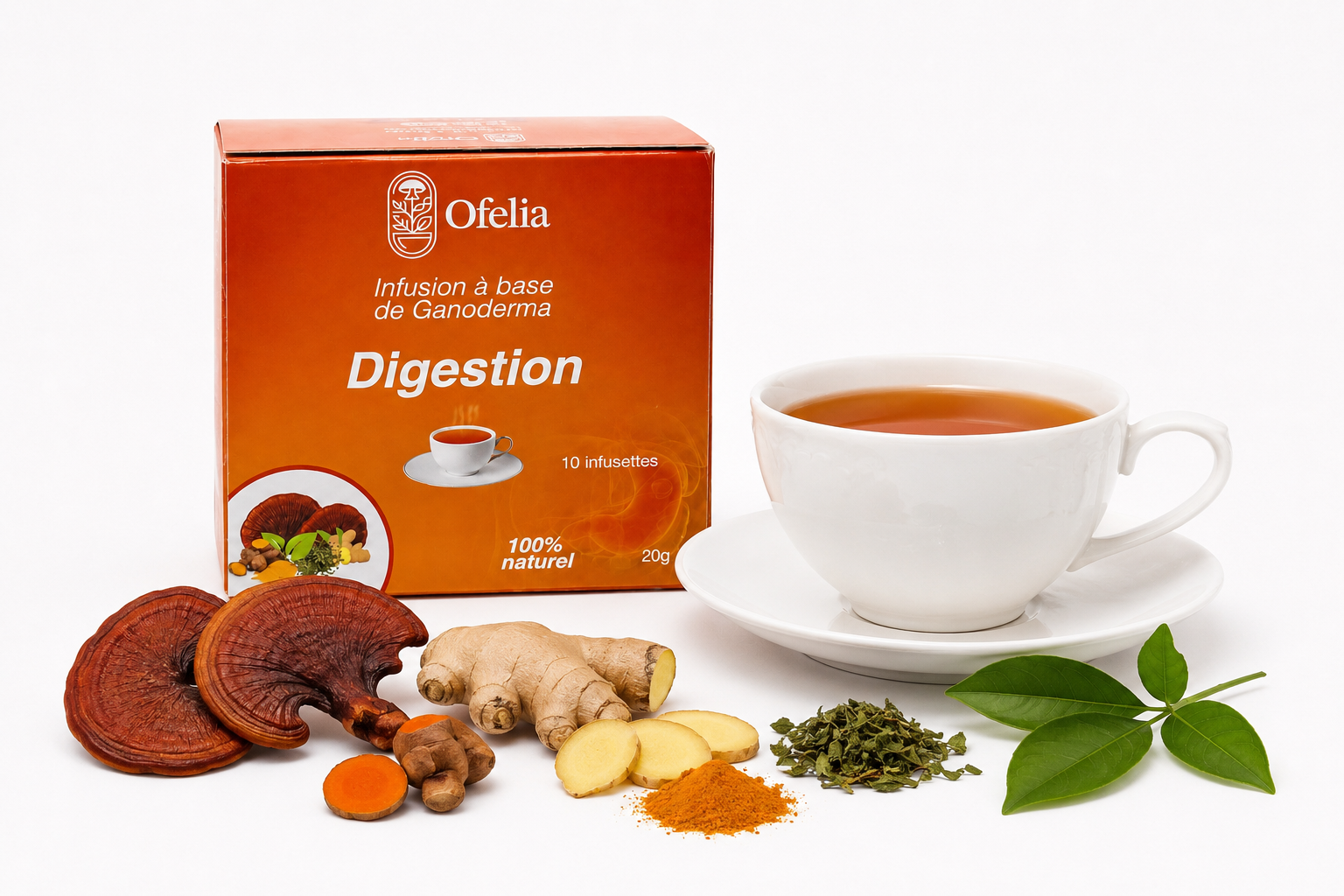 DIGESTION (Ganoderma, gingembre, curcuma, kinkéliba, anis vert)
