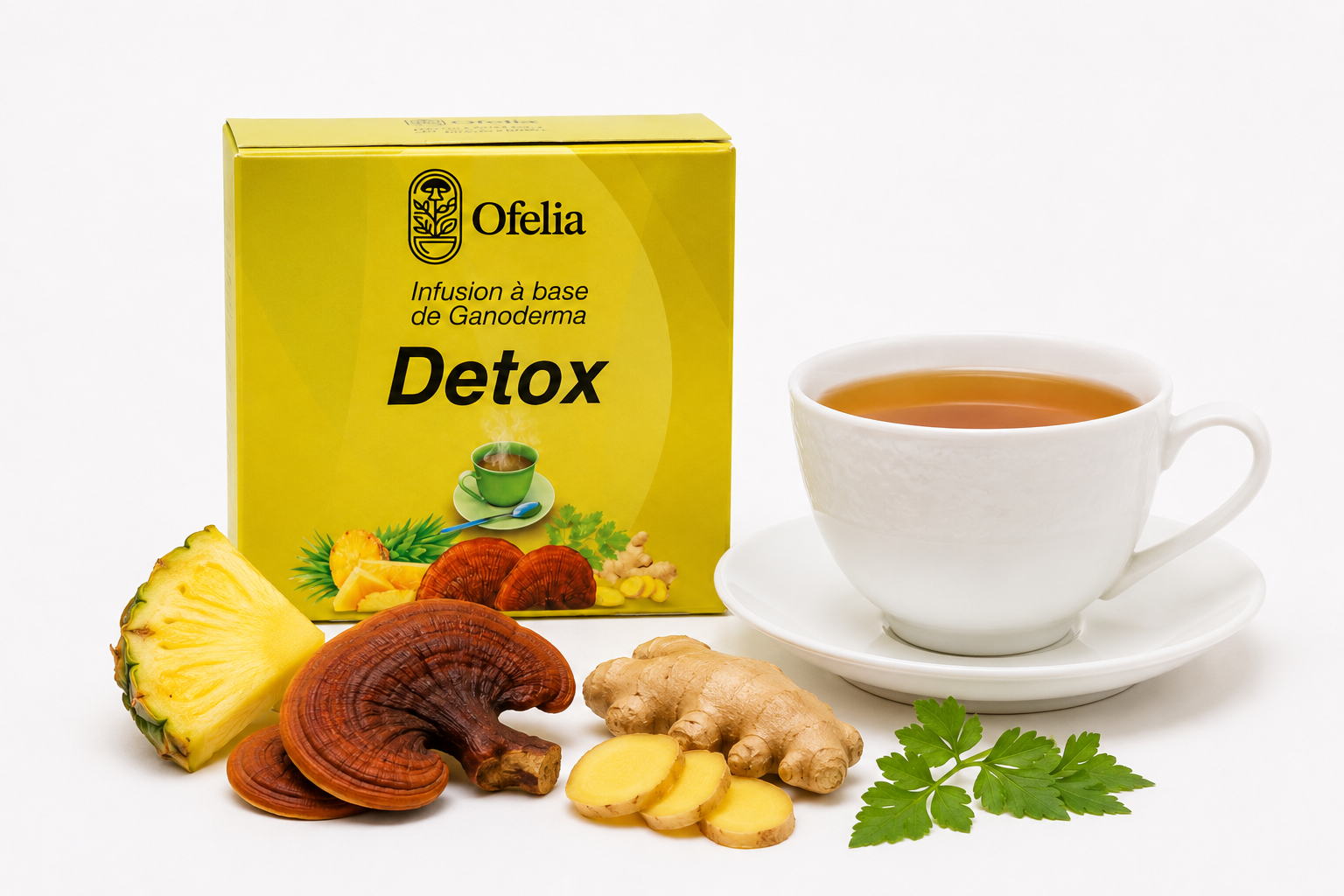 DETOX (Ganoderma, citronnelle, menthe poivrée, persil, gingembre)
